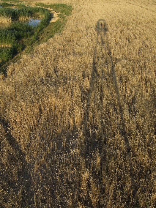 Bendimahi Marshes