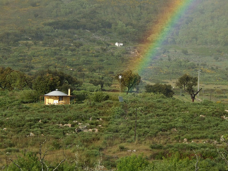 Regenboog / Rainbow