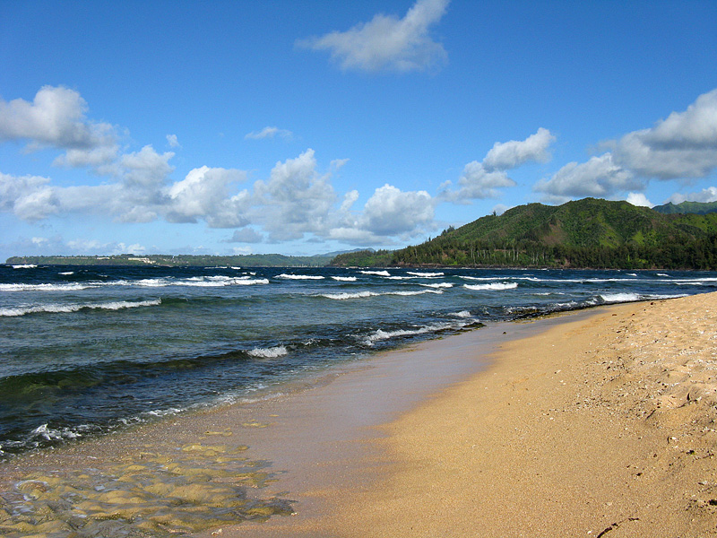 Beach at Hanalei Colony Resort