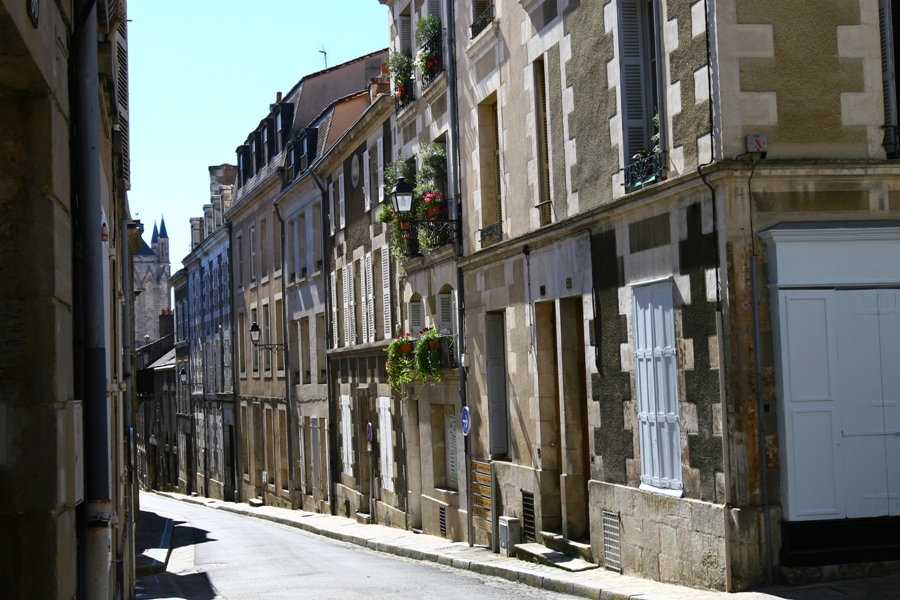 p6.JPG