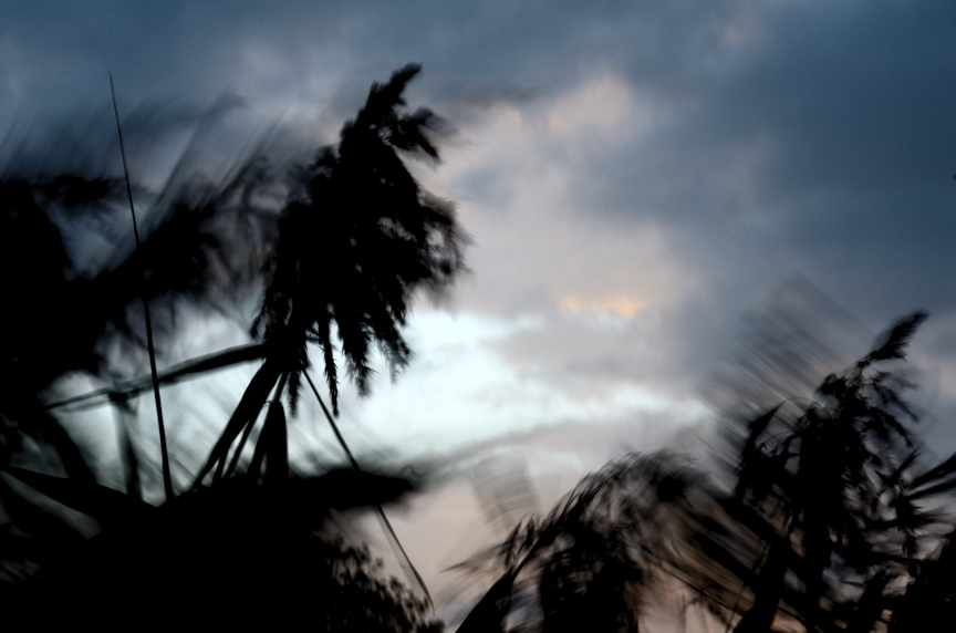 Wild and Windy photo Mairéad photos at