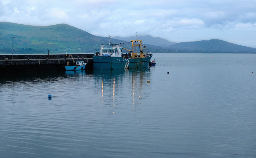 Carlingford Lough