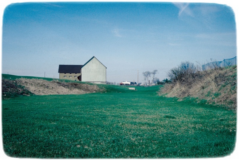 The site of the Amphibian Pond, summer 1990