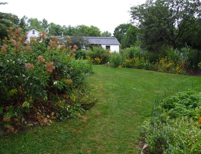 The Backyard Garden in July 2011