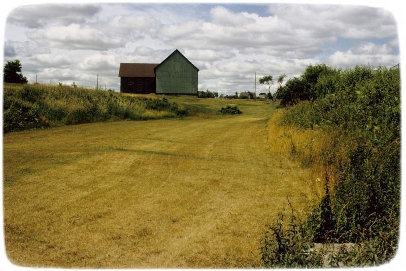 Amphibian Pond site, 1991