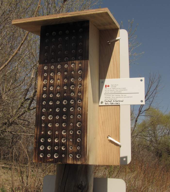 Bee box