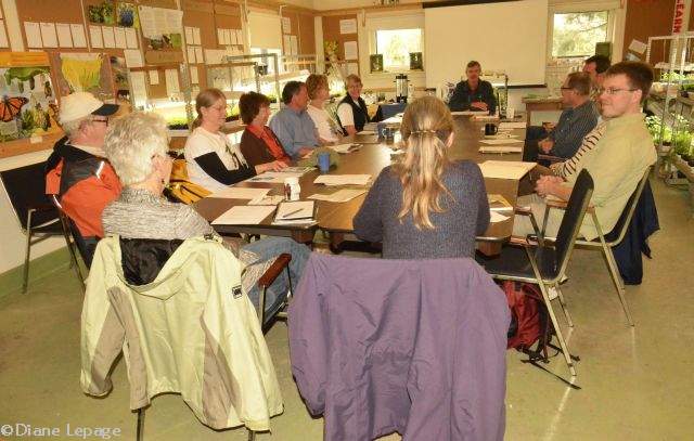 Workshop on Monarch butterflies