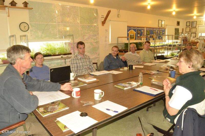 Monarch butterfly workshop