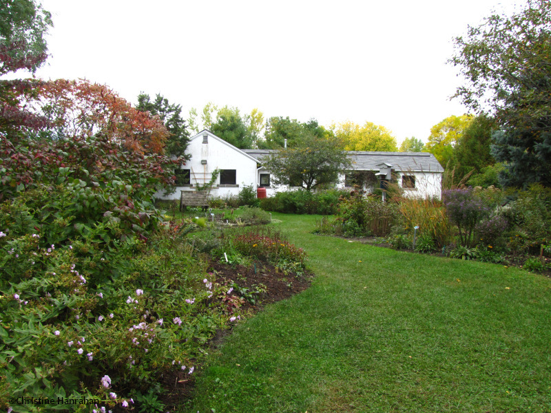 Backyard Garden - October, 2012