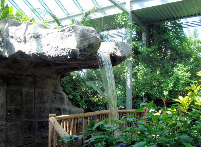 The Waterfall