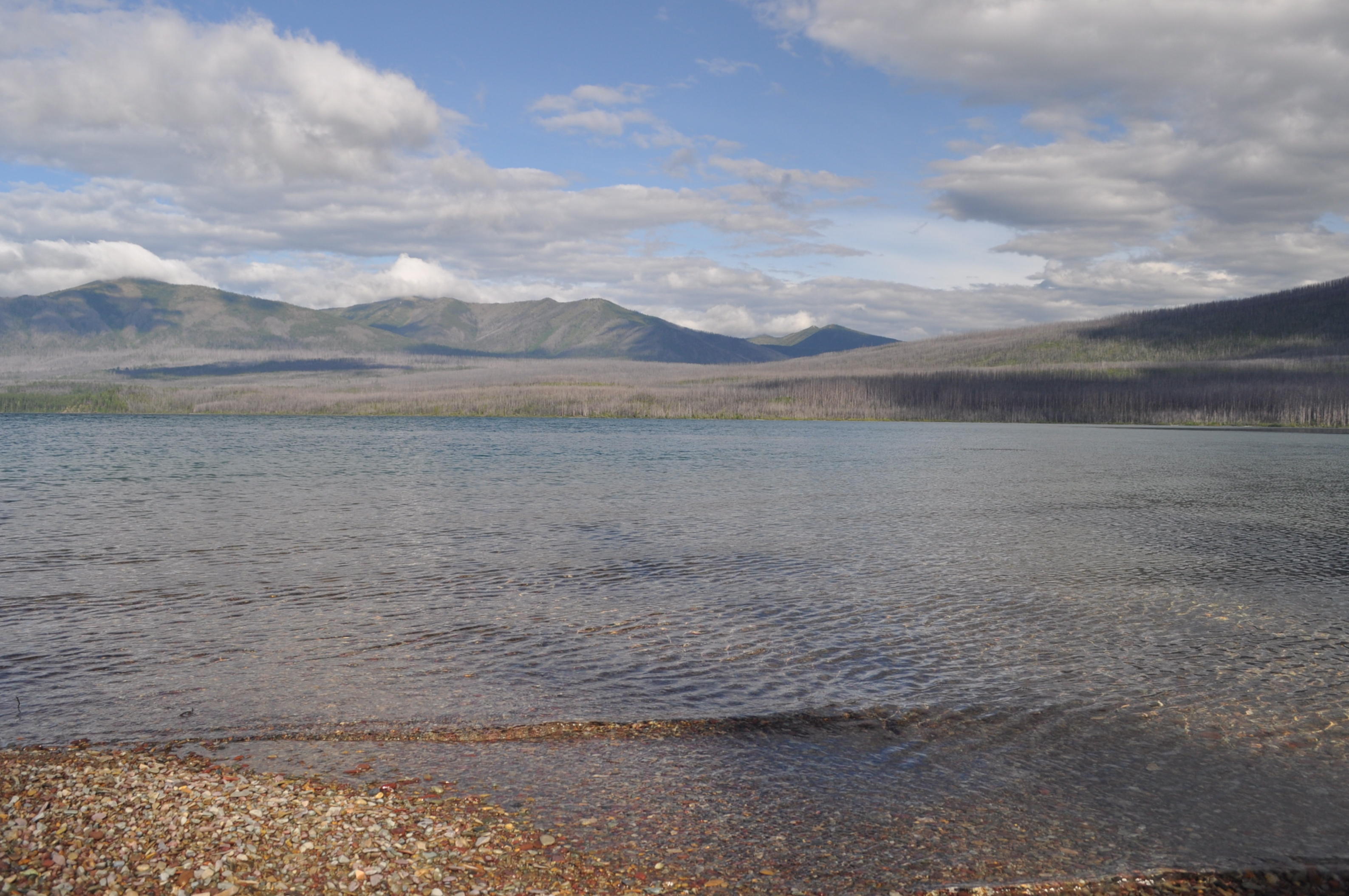 Pebbles on Lake McDonald