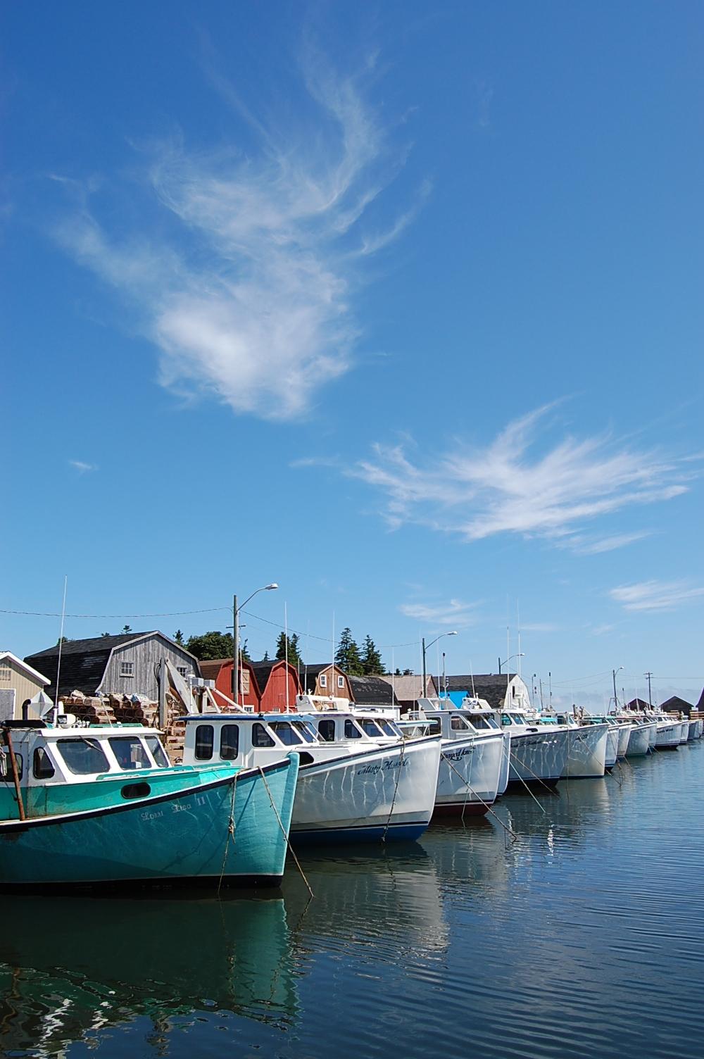 Malpeque, PEI Harbour.jpg