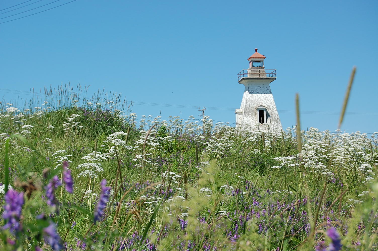 Cape Tourmantine, New Brunswick.jpg