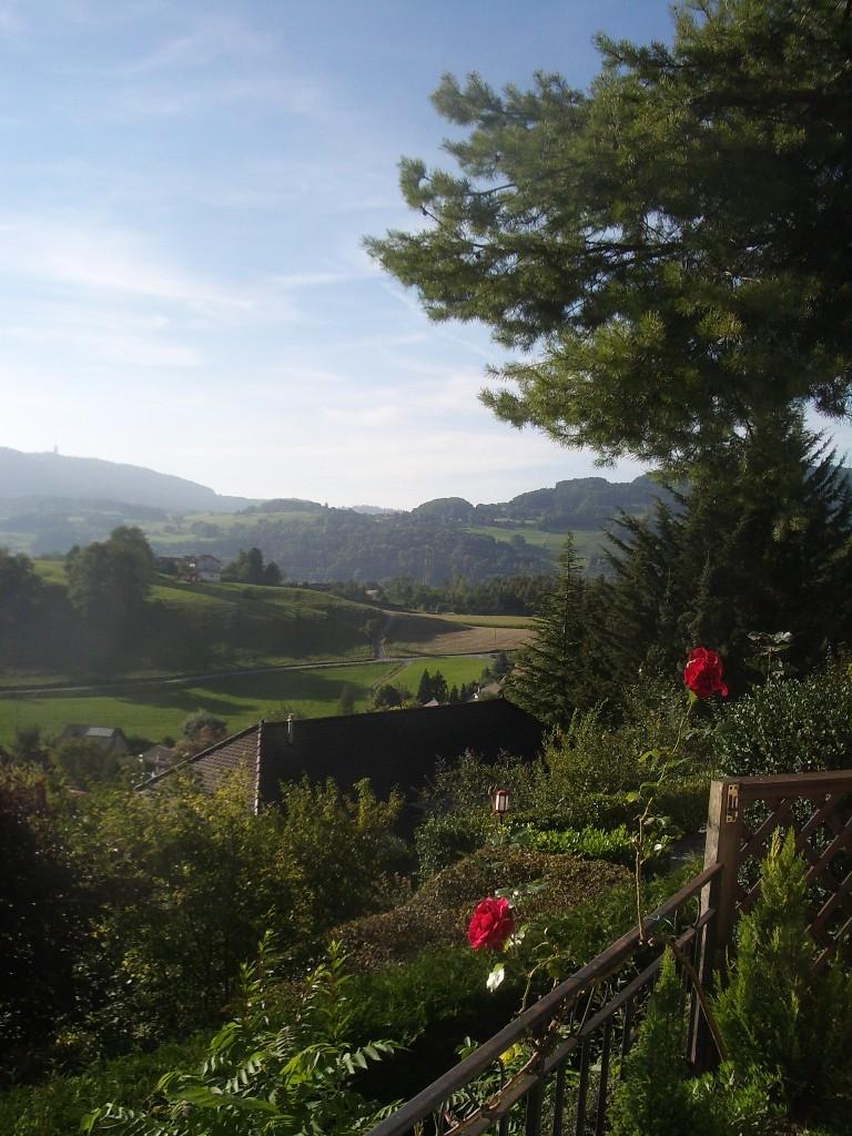 Evening in Urs Yard.JPG