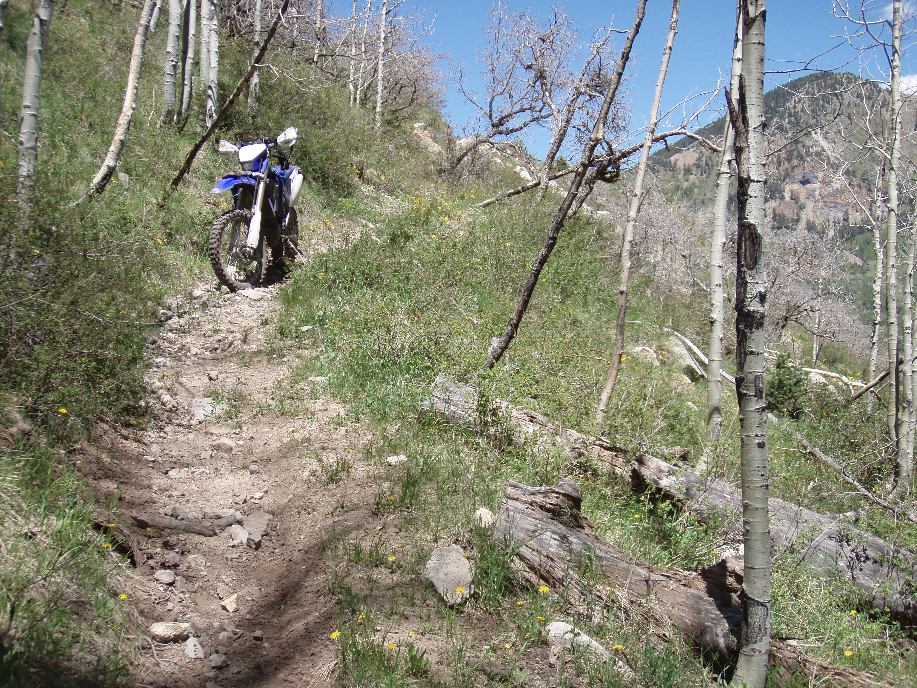 P6151515.JPG