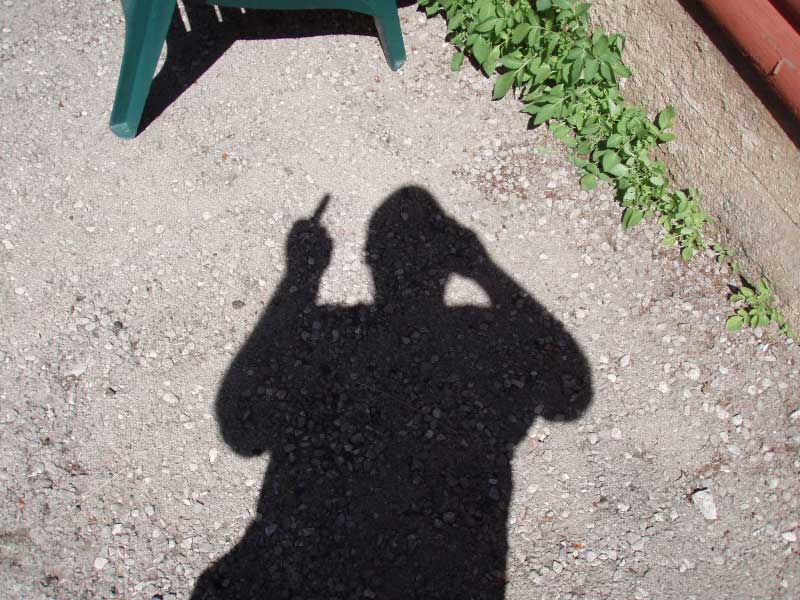 DPP_0031.jpg