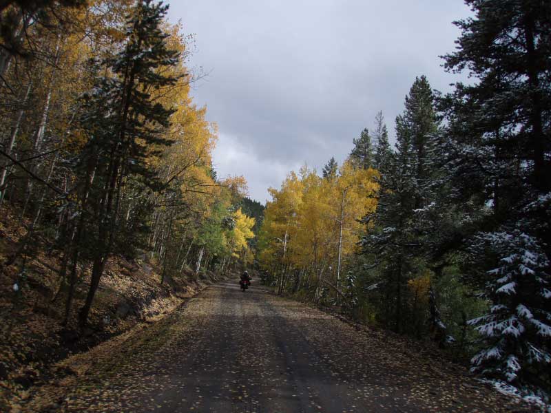 DPP_0164.jpg