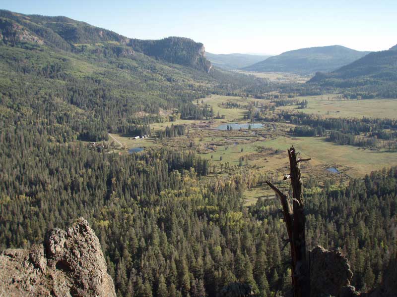 DPP_0220.jpg
