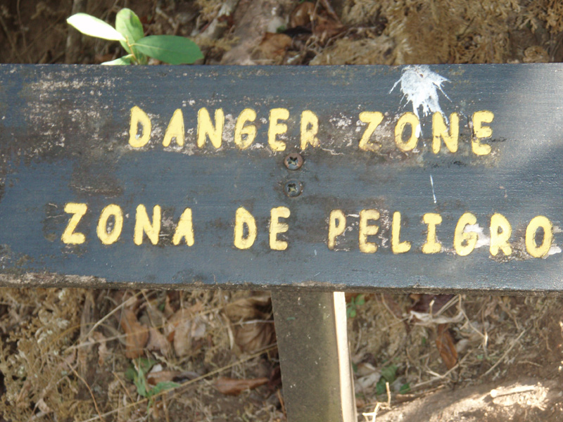 P1041005.jpg