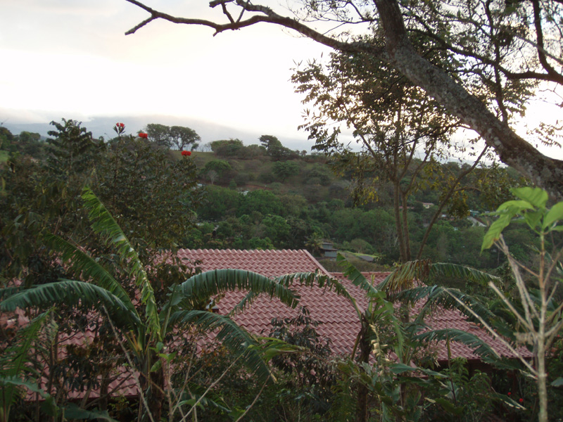 P1061032.jpg