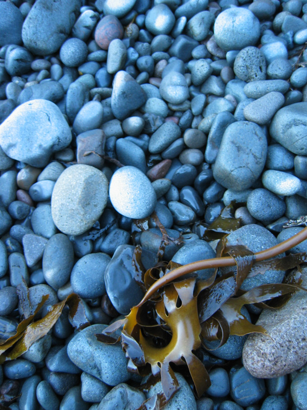 Beach stones