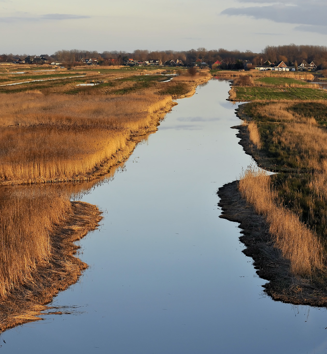 Oostzanerveld, het gele strijklicht van een late januarimiddag