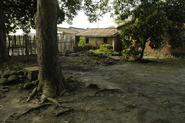 small_DSC1193.JPG
