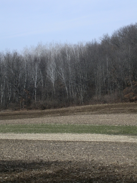 smallDSCN9820.JPG
