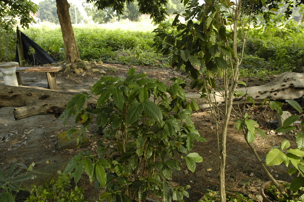 small_DSC1190.JPG
