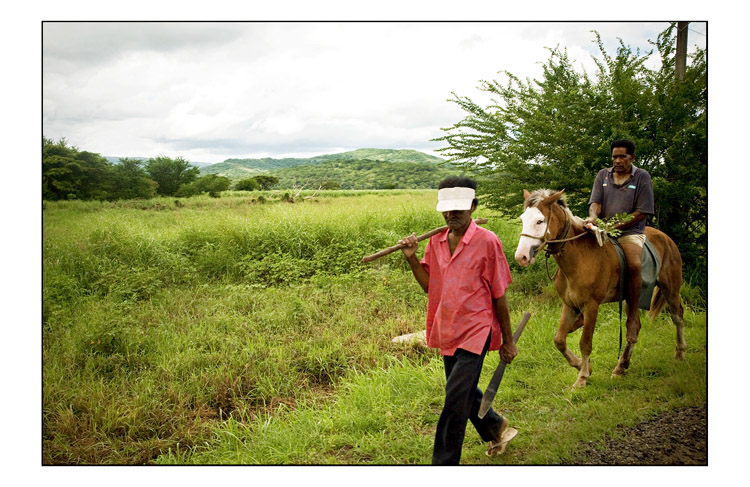 Them Fiji cowboys