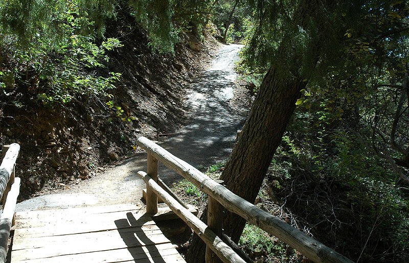 Spruce Tree House Trail