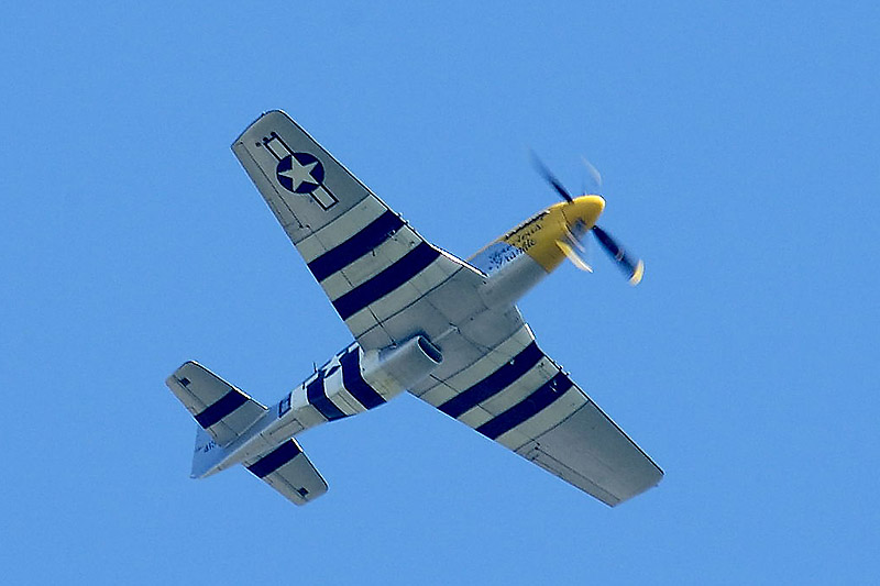 P51D Ferocious Frankie