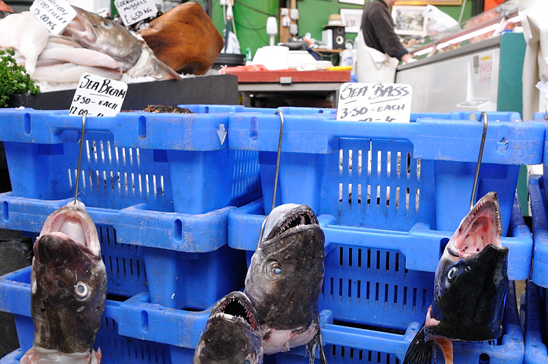 Fish heads