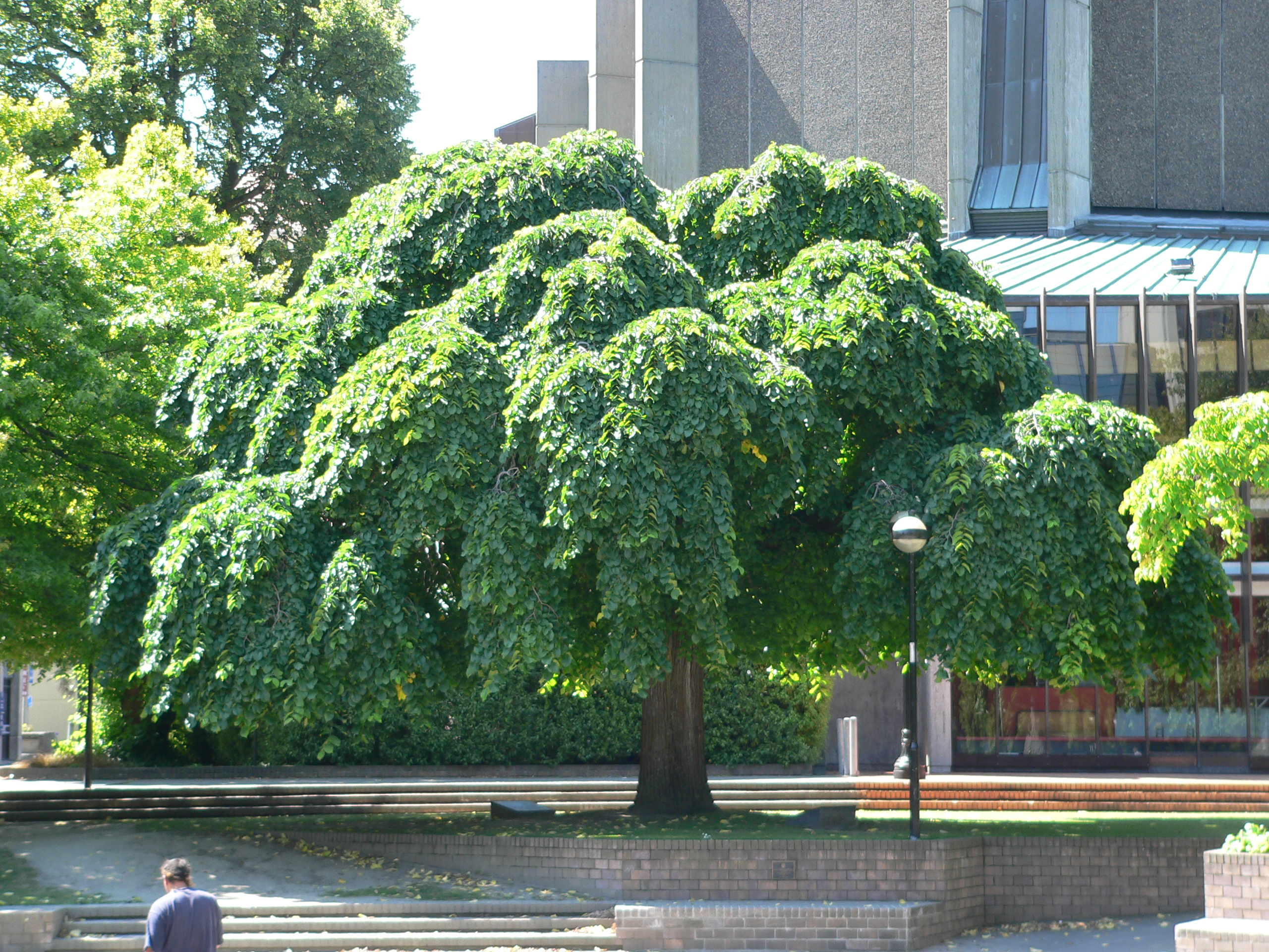 P1000091.JPG