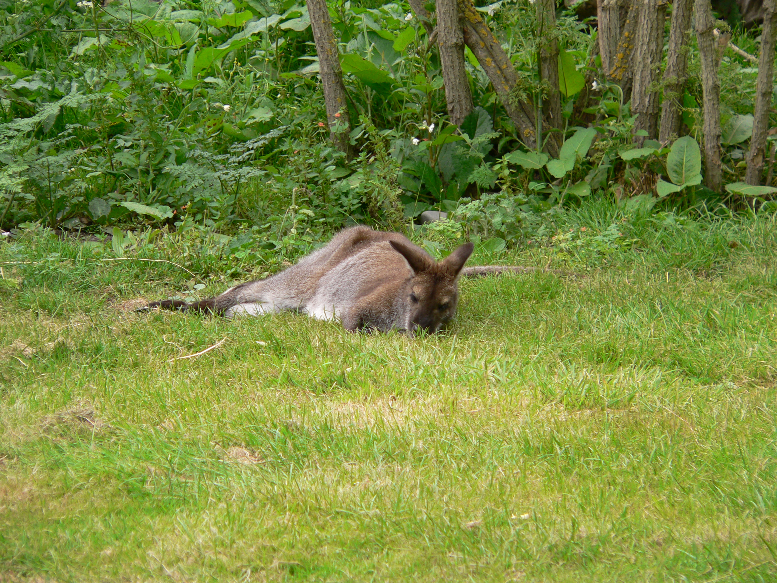 P1000118.JPG