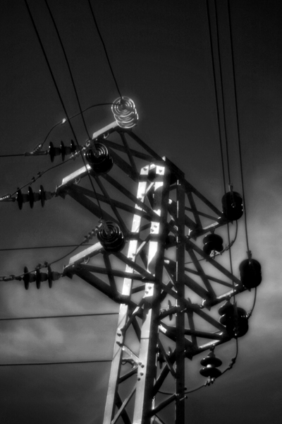 Grid 5692.jpg