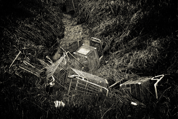 Shopping Carts 5583.jpg