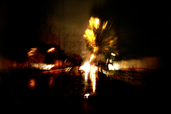 Night Drive 0736_0207.jpg