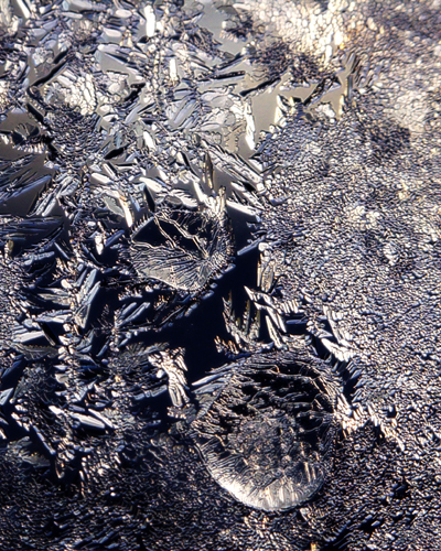Flora? - No its window frost_6489.jpg