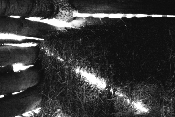 Dauphin_Barn Interior_7641.jpg