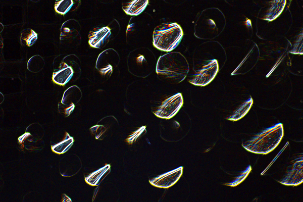 abstract_6524.jpg
