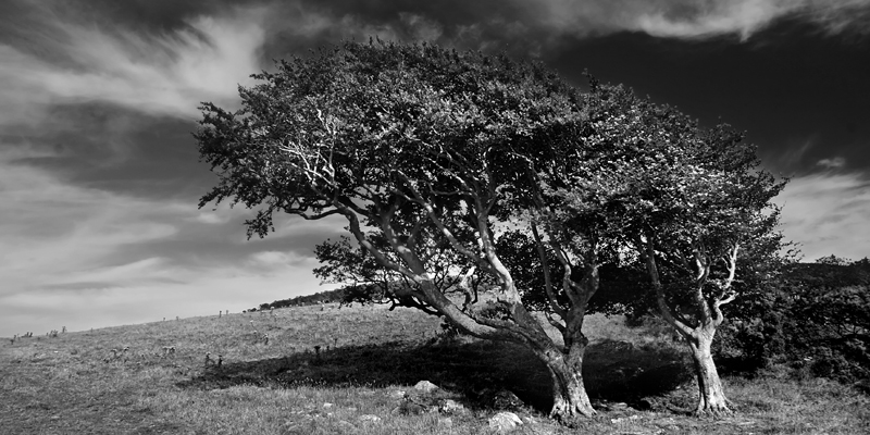 Newton Hill_ Scotland_1898.jpg