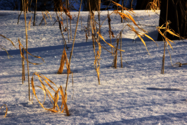 Kildonan Park_Winnipeg_3671.jpg