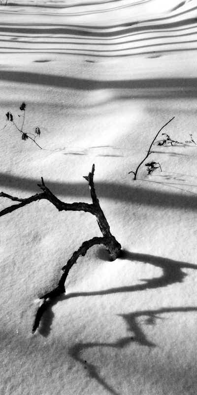 Winnipeg_Kildonan Park_3659.jpg