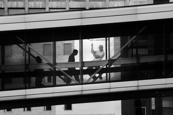 SkyWalk_3622.jpg