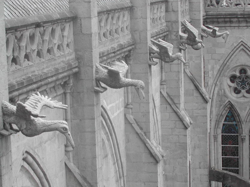 3_Church of La Basilica gargoyles_Quito.JPG