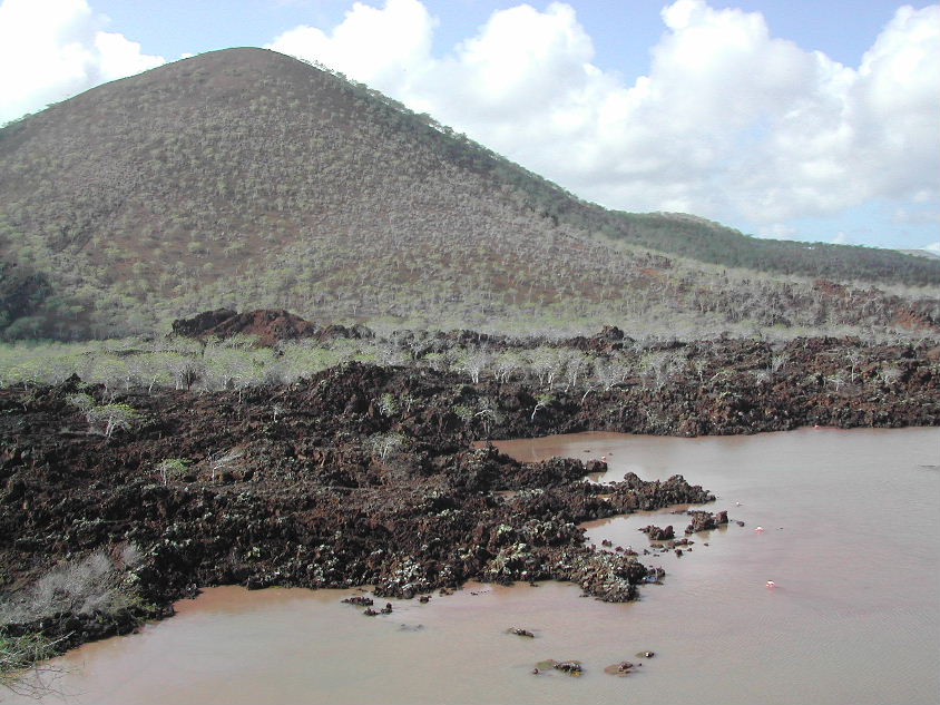 Floreana Island_1.JPG