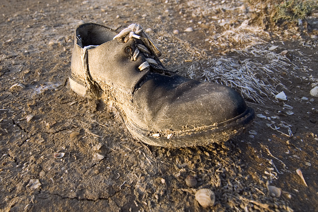 Shoe_JLB7017.jpg