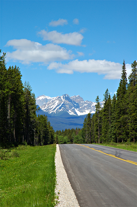 Bow Valley Parkway 1A