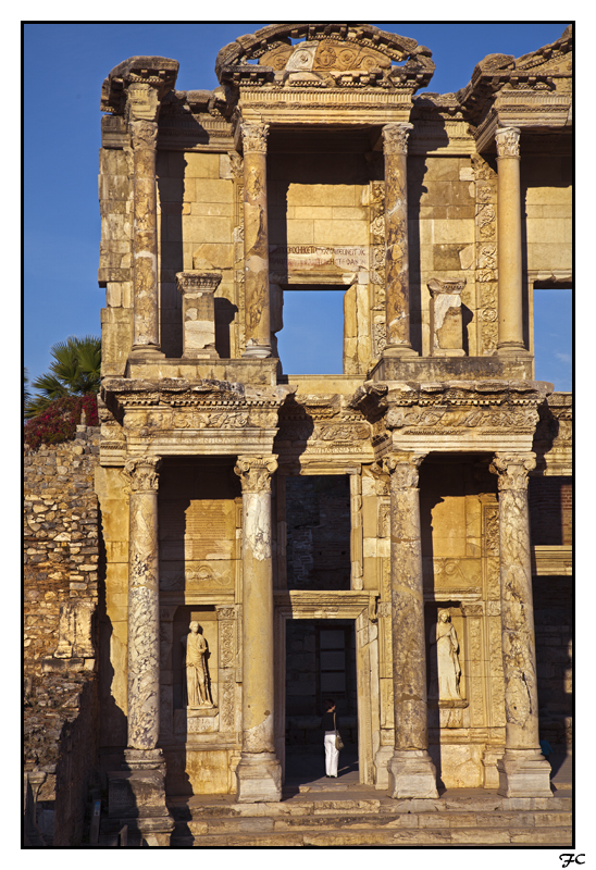 16-GR-T.jpg